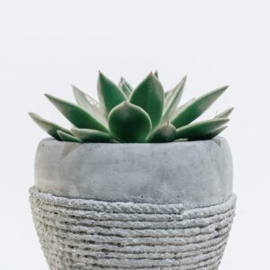 Product 7